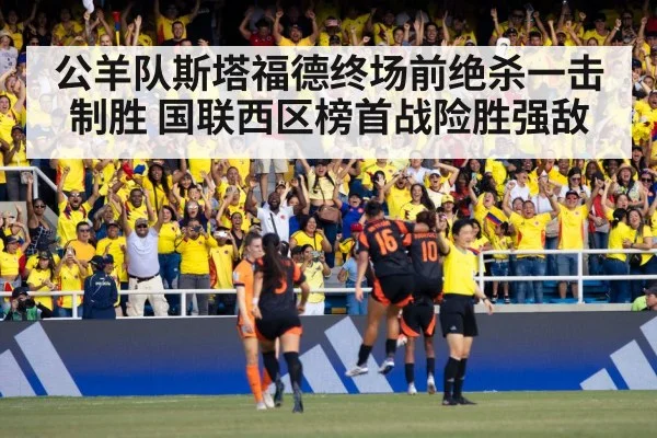 stadium crowd celebrating